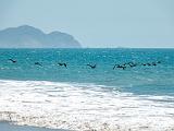Point Reyes 005